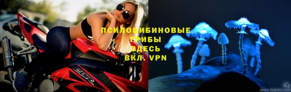 apvp Алексин