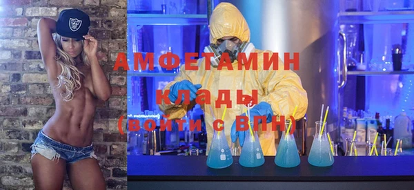 молекула духа Алзамай