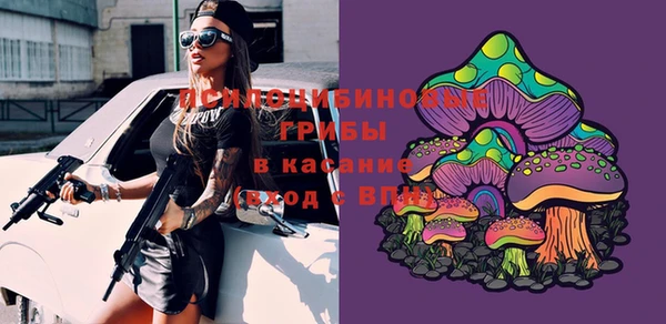 молекула духа Алзамай